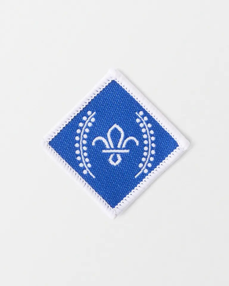 Chief Scout Diamond Award Badge
