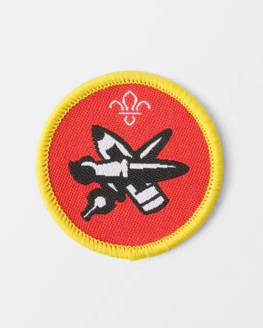 Cubs 'Artist' Activity Badge