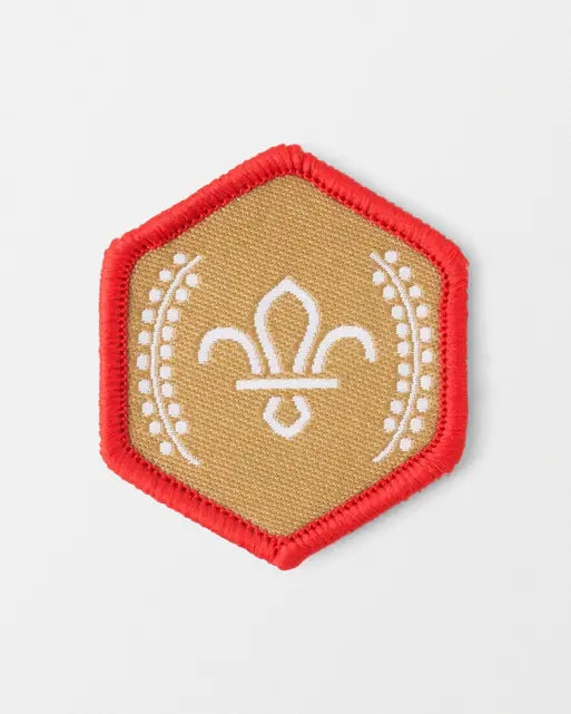 Scouts Chief Scout Gold Award Badge