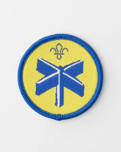 Beavers 'Explorer' Activity Badge