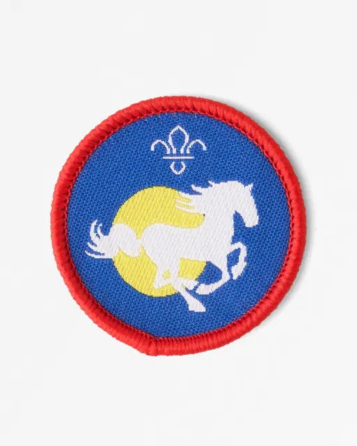 Scouts 'Equestrian' Activity Badge