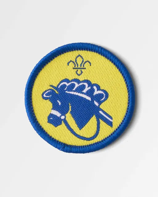 Beavers 'Hobbies' Activity Badge